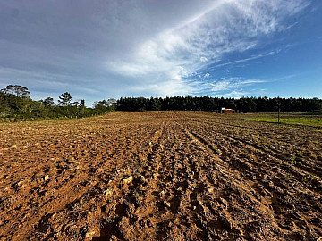 Terreno - Venda - Sanga Funda - Nova Santa Rita - RS