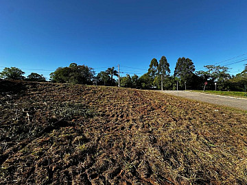 Terreno - Venda - Centro - Nova Santa Rita - RS