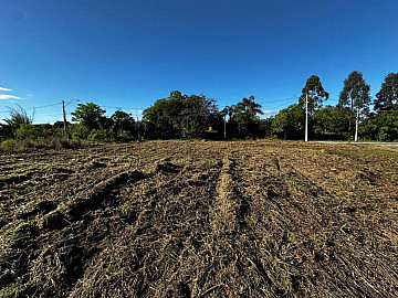 Terreno - Venda - Centro - Nova Santa Rita - RS