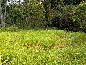 Terreno - Venda - California - Nova Santa Rita - RS